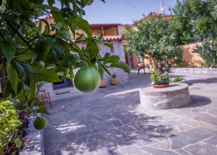 - Apa منزل ريفي